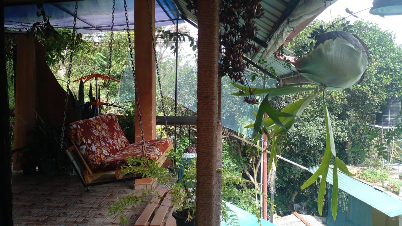 Secret View Homestay Ella Kültér fotó